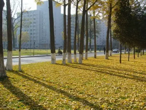 在中国人民大学 (RUC) 就读是什么感觉？