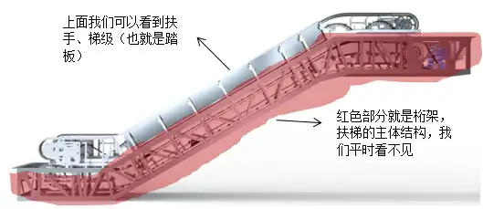 “荆州电梯吞人”事故中的妈妈在落入电动扶梯后究竟因何种原因致死？扶梯内部会对人体造成哪些损伤？