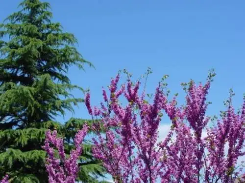 在中国人民大学 (RUC) 就读是什么感觉？