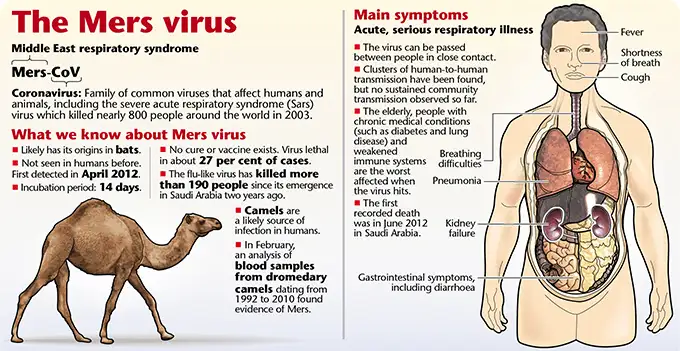 中东呼吸综合征（MERS）是什么病？传染性大吗？