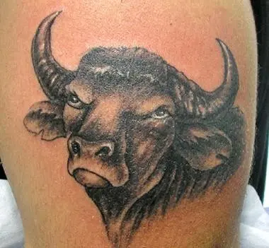 属牛纹身图片