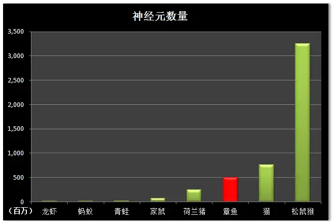章鱼的智商到底有多高？为什么有人说它们的智商可以统治世界？（章鱼的智商怎么样）