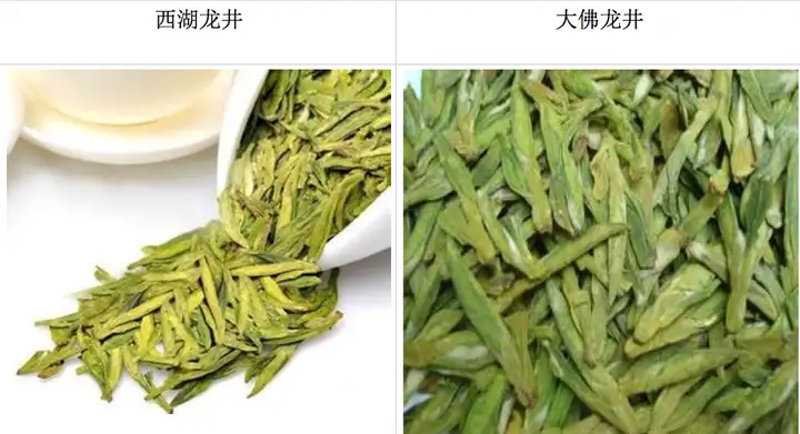 没想到（新手喝茶从什么茶开始喝）喝茶从什么茶开始喝比较好，(图1)