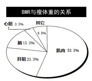 鍛鍊後基礎代謝增加兩天後又忽然恢復正常