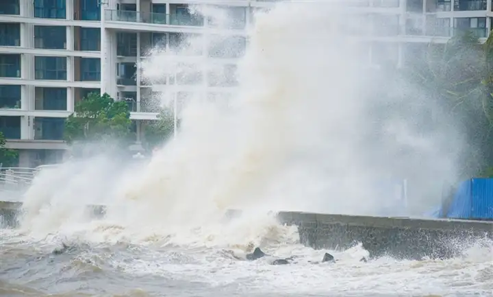 海平面上升的危害有哪些（海平面上升会导致什么后果）