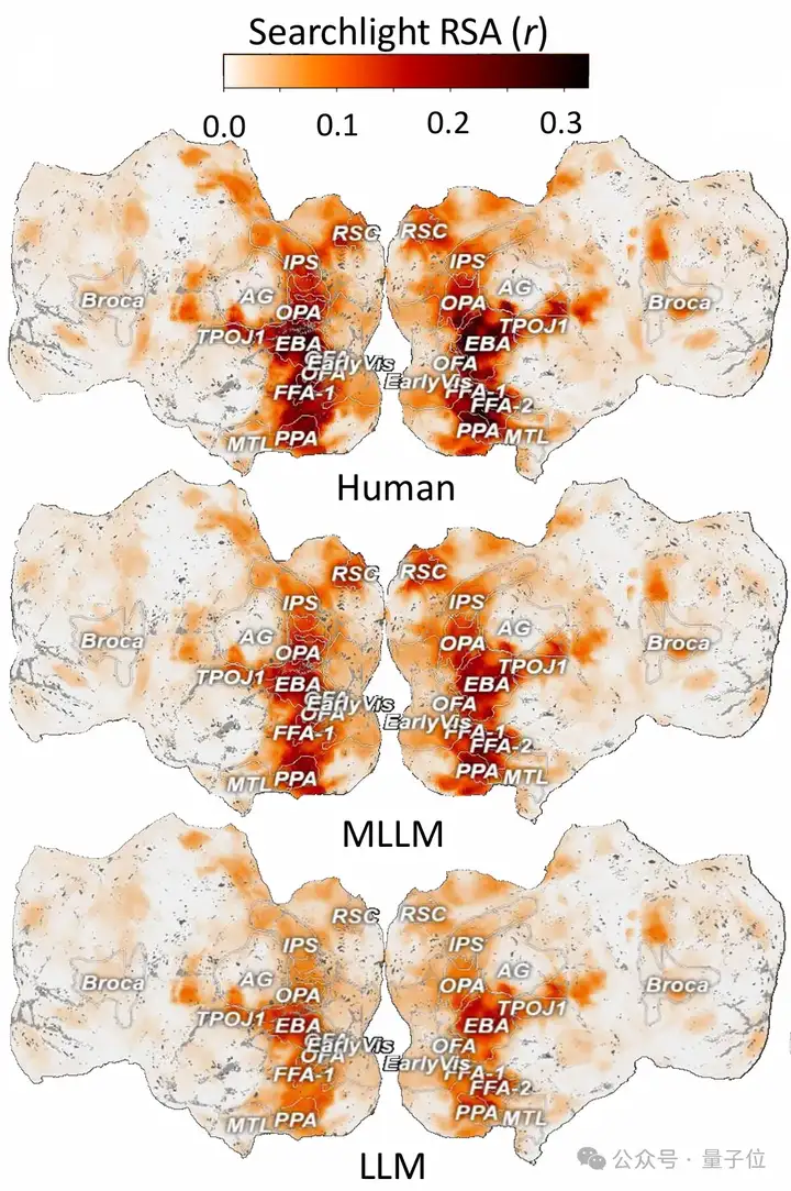 大模型能够自发形成“人类思维地图”！Nature子刊重磅研究揭示多模态大模型类脑机制