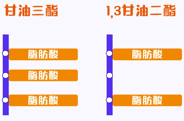 1瓶300元还热卖的「二酯油」，有什么神奇？