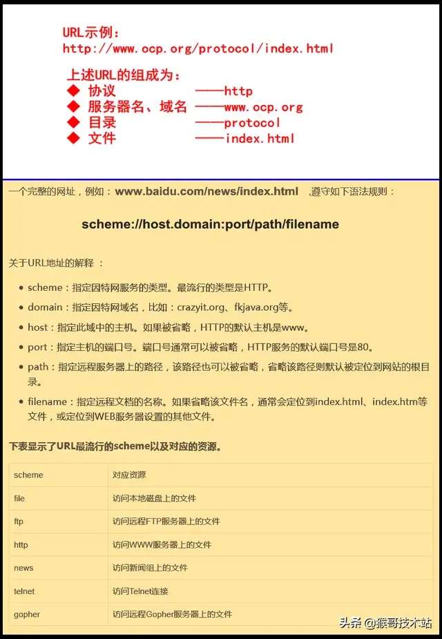 域名的基础知识有哪些（网址，URL，域名，IP地址，DNS，域名解析）