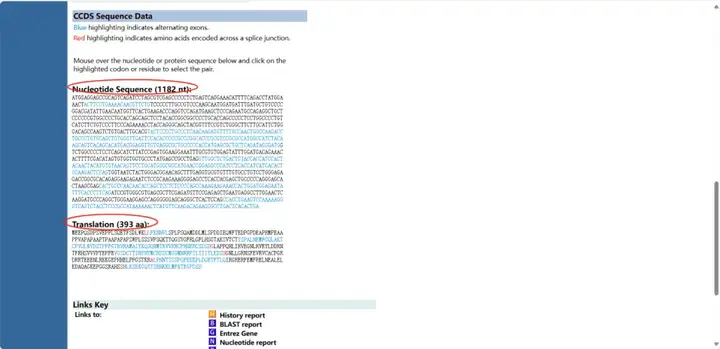 《NCBI保姆级使用教程（包含如何查找CDS、启动子、5'UTR和3'UTR、lncRNA序列）》