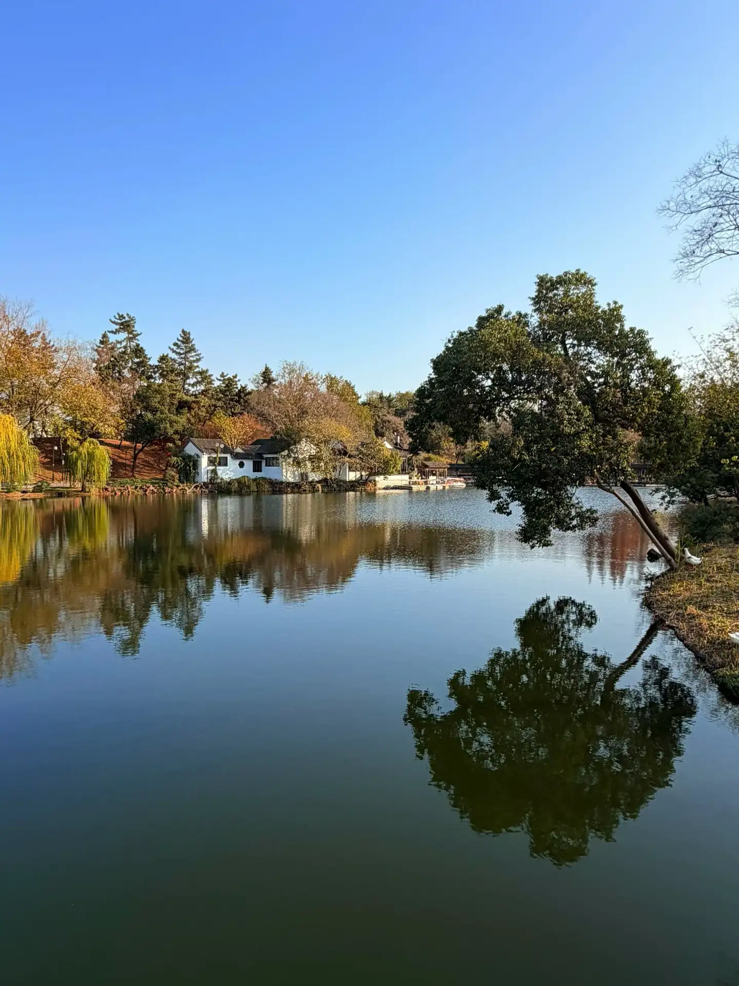 全球有多少城市能撑起来14日游？