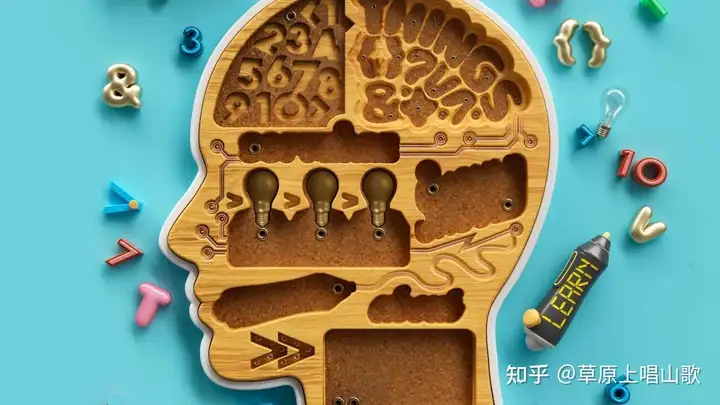 你认为哪些领域的知识对程序员来说特别重要？