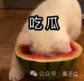 MIT终身教授何恺明，入职谷歌了