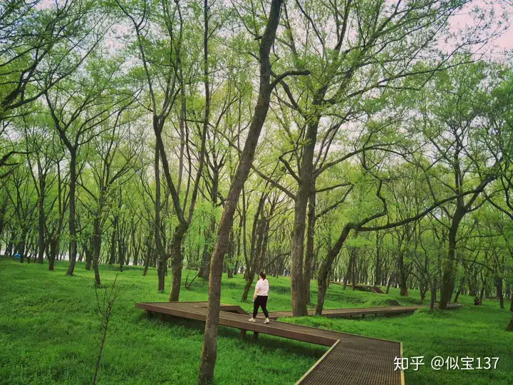 哪里做团建好一些？