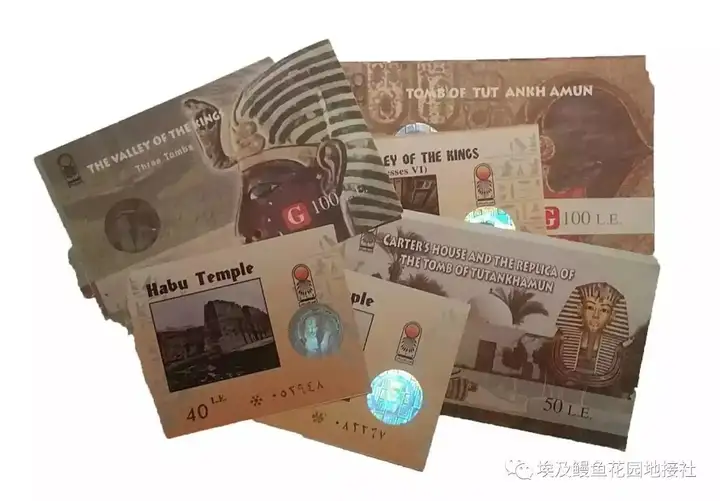 今年8月跟团去埃及旅游，埃及安全吗？