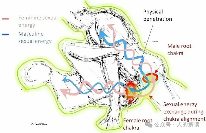 性能量与七脉轮的奥秘-人的解读