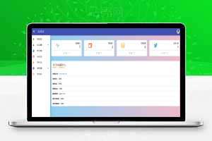 防洪源码，支持接口定义，支持易支付，源码无加密