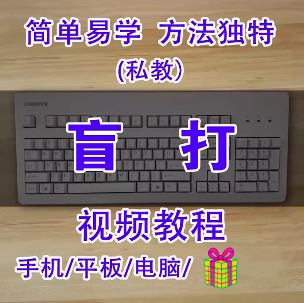 图片[1]-盲打不看键盘打字视频教程- 打字指法纠正零基础教程只需普通键盘私教版【电商热销819】-暗冰资源网