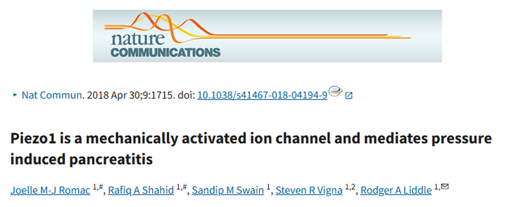 Piezo1是一種介導壓力誘導胰腺炎的機械激活離子通道