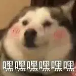 有一个很有情趣的女朋友是什么样的体验? - 知乎