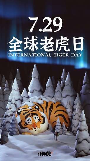 世界爱虎日，为了保护它的同伴，“胖虎”养了一只胖虎