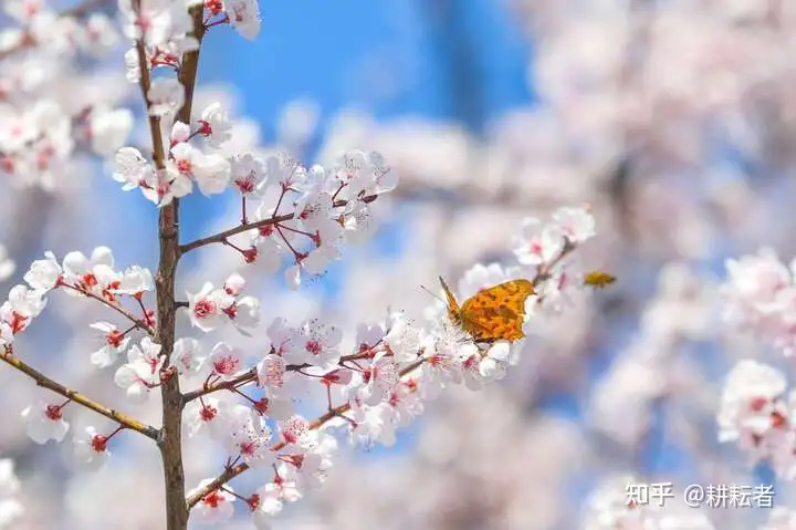 你人生经历中让你感到有成就感的一件事是什么？