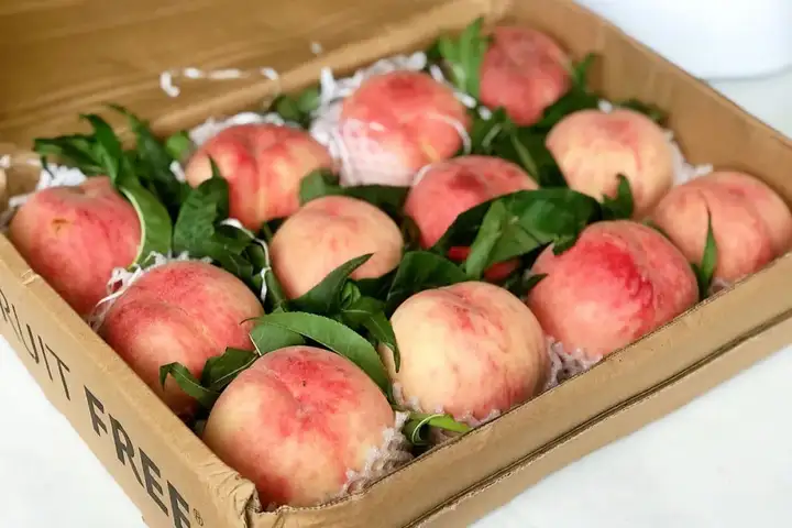 夏至这天应该吃些什么？