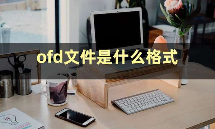 ofd文件怎么打开？ofd能用wps打开吗