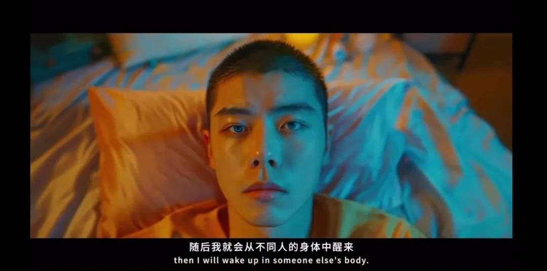 AI生成的猫狗短剧，重演“回家的诱惑”