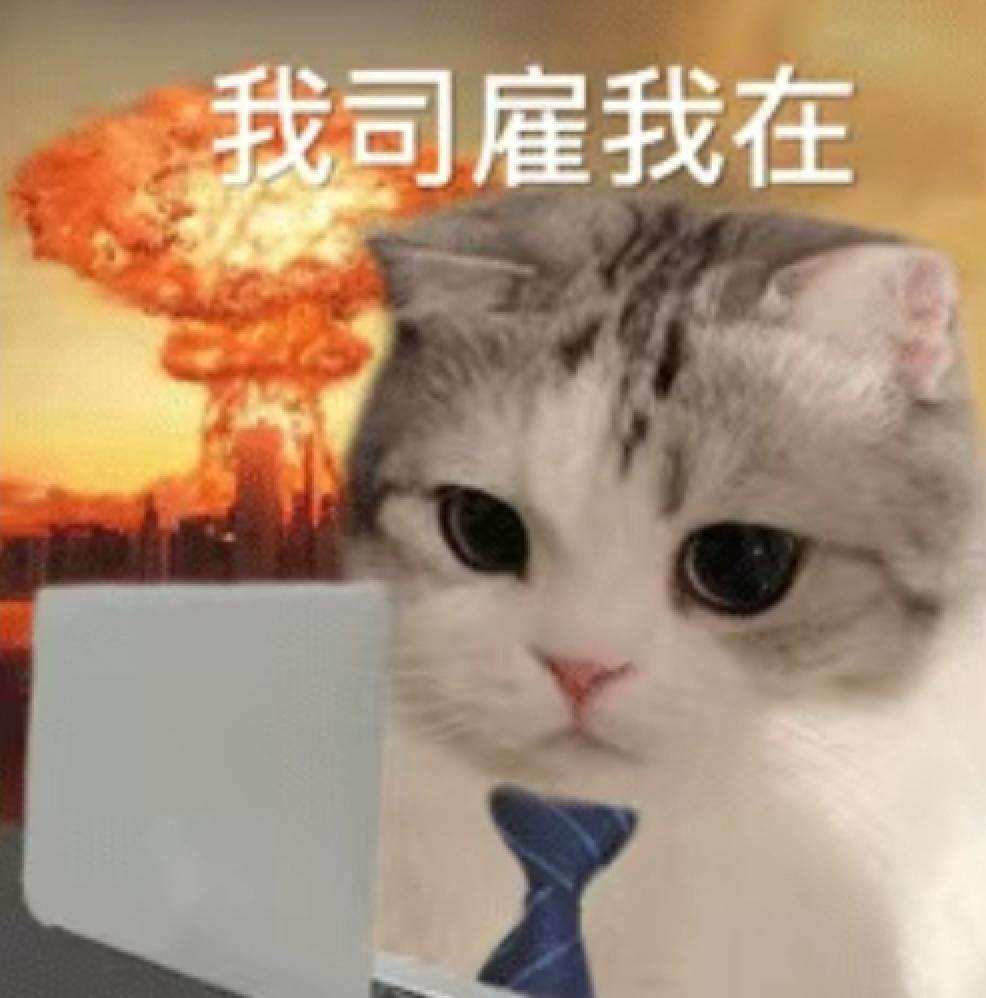 OpenAI头号叛徒，竟然是自学的AI？？？