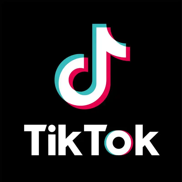 安卓TikTok v41.5.3抖音海外版