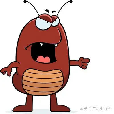 家里有跳蚤,在保证猫安全的情况下怎样除蚤?