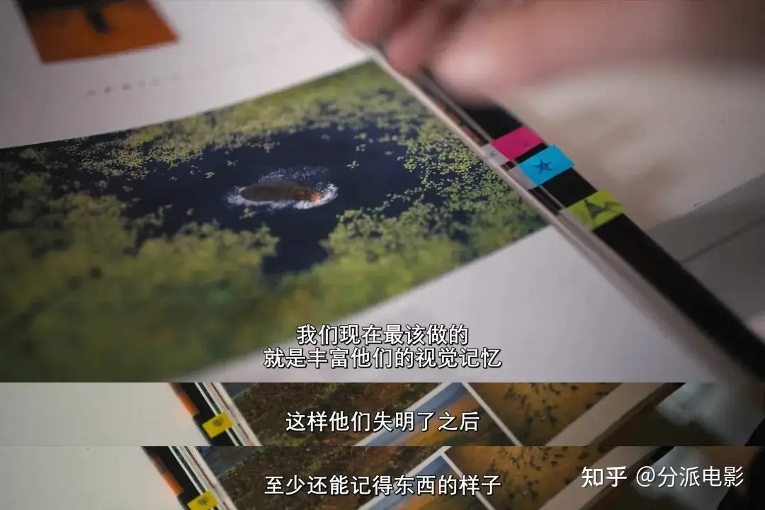 《与世界的最后一眼相遇》奥斯卡获奖团队新作,又暖又虐!