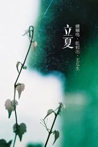 24节气对应吃什么食物？