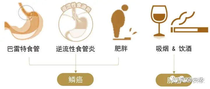 碾励谊管想(图3)