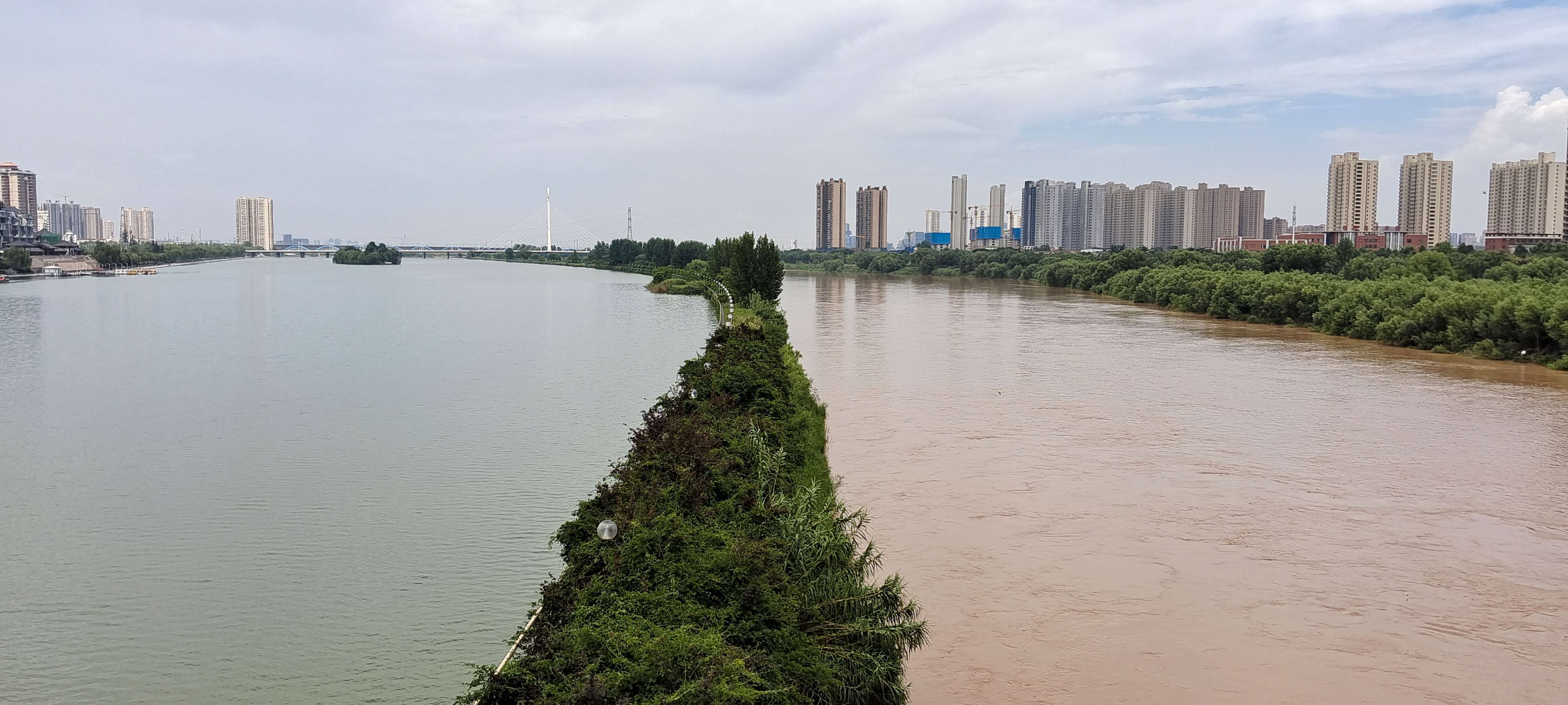 听雨的声音 的想法: 雨后的咸阳湖与渭河,一堤画出两个色系! - 知乎