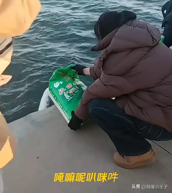 葫芦岛有多人往海里“放生”大米插图1