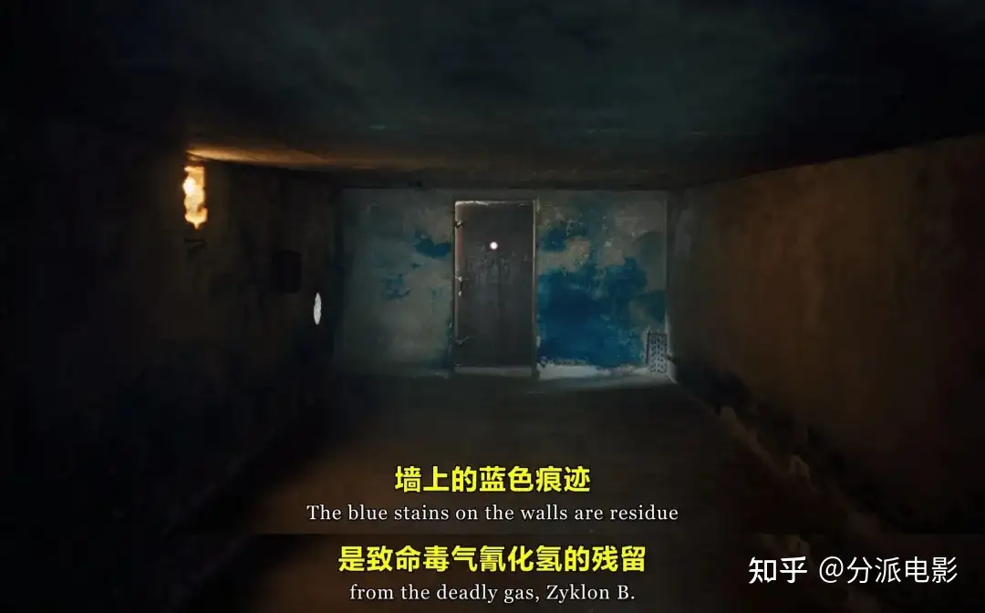 《真正的痛苦》烂番茄96%,开年必看佳作!