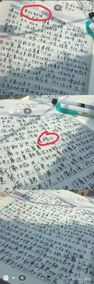 四年级的学生字写成这样算非常好吗？(四年级孩子写字潦草怎么纠正错误)