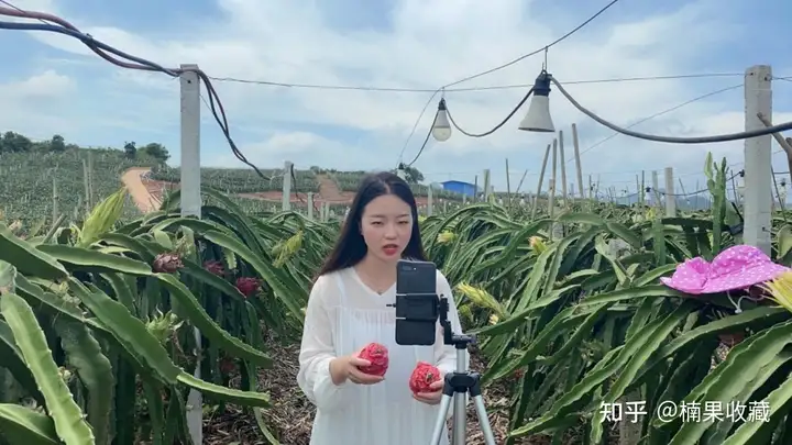 如何轻资产批量孵化三农直播带货账号?