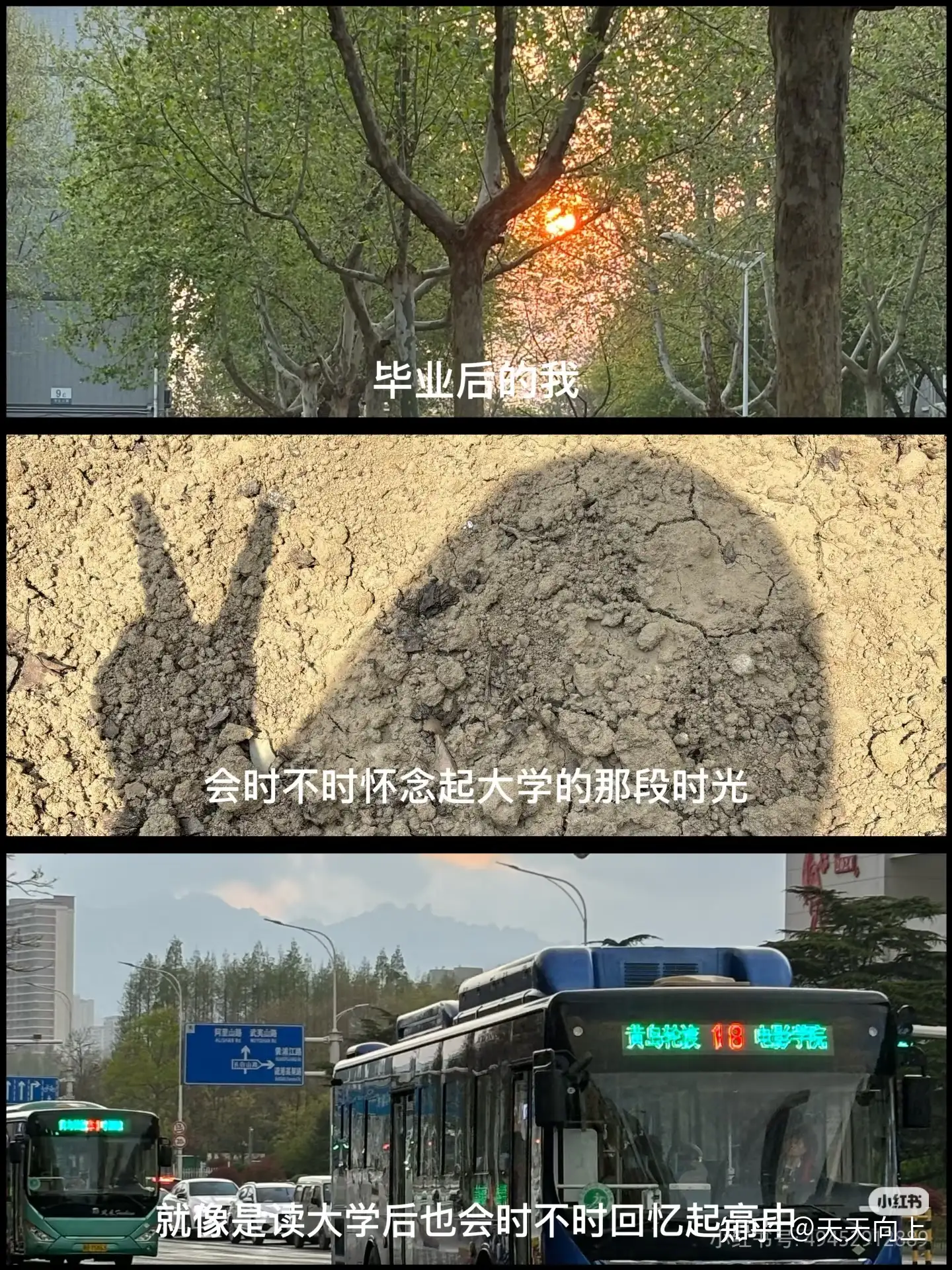 为什么高中总对大学有很美好的幻想？