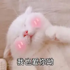有没有我也爱你表情包?