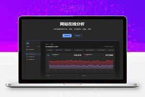 PHP网站流量分析统计源码