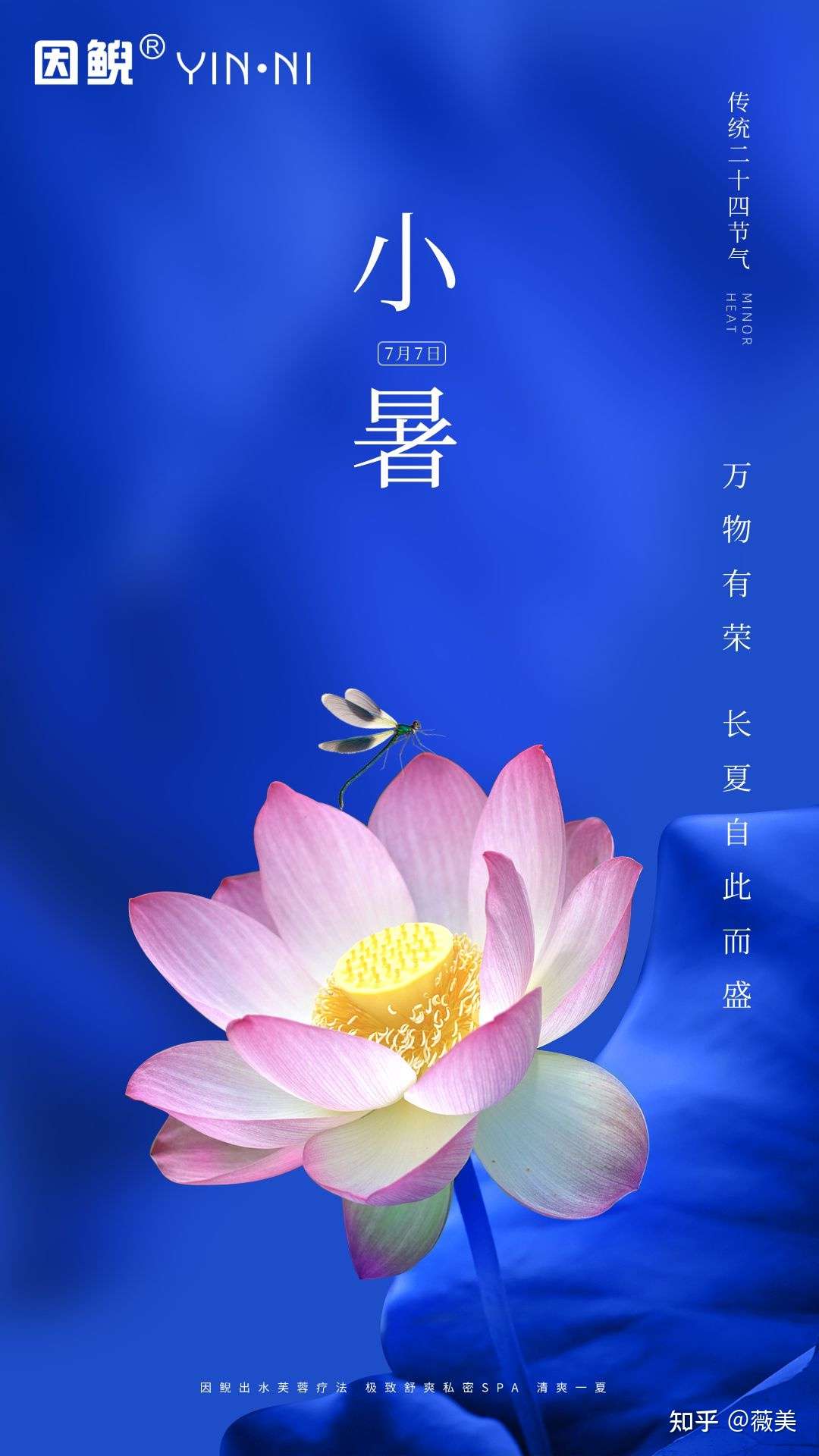 薇美 的想法: 小暑大暑,上蒸下煮 小有初始之意 暑有炎… - 知乎