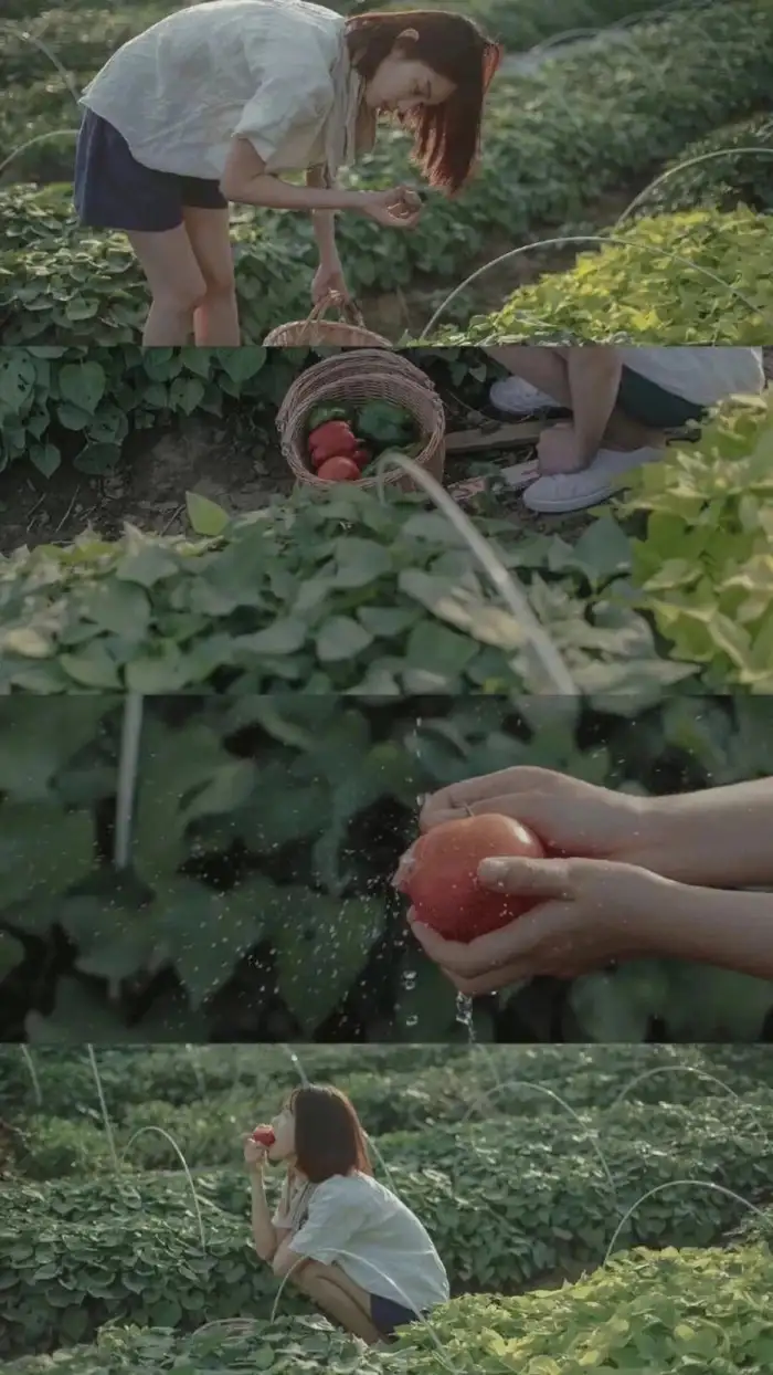 有哪些极富美感的绿色系壁纸？(绿色壁纸唯美小清新)