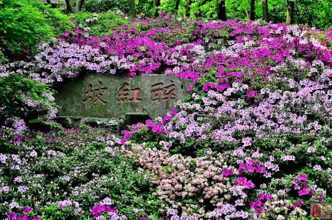 五一去哪里旅游好啊，人少景美的地方？