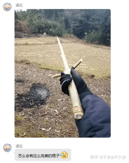 能不能晒晒你捡到的最直的一根棍子? - 知乎