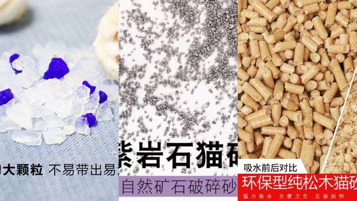 猫砂什么牌子最好用？平价又好用的猫砂推荐