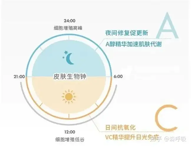“早C晚A”是什么梗? - 知乎