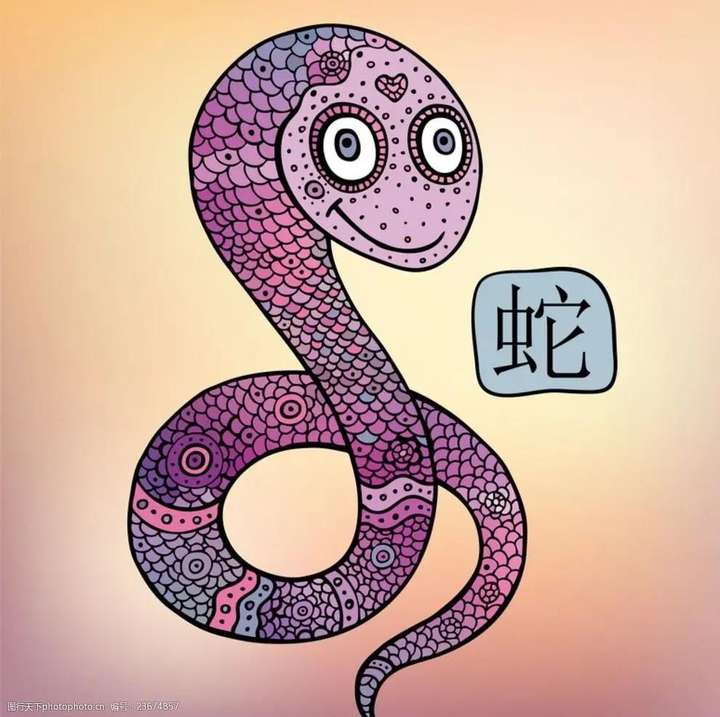 中国十大毒蛇 中国最吓人的一条巨蛇