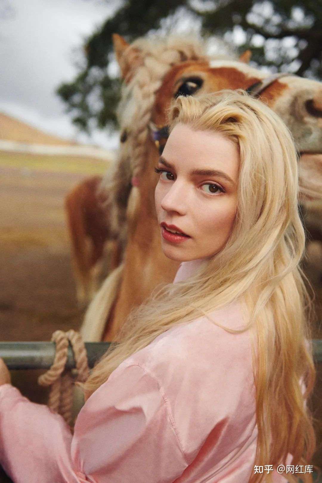 Anya Taylor-Joy：为什么眼睛这么大？美得不可方物的精灵 Facebook-第4张